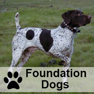 foundationdogs